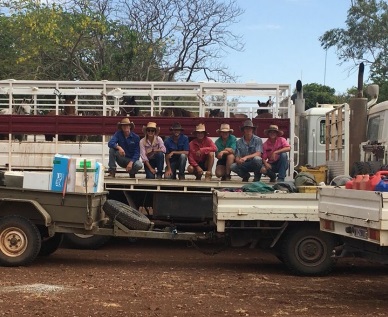 Sustainable livestock production & grazing land management in the East Kimberley region, WA